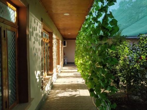 Фотография гостиницы Мотрид