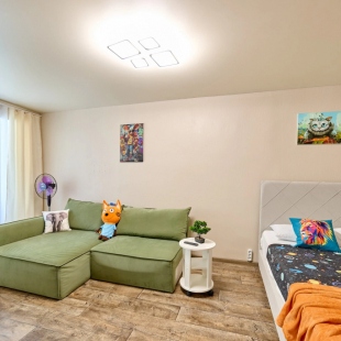 Фотография квартиры Квартира Однокомнатная квартира по адресу Баумана 19