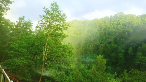 Фотография мини отеля Skymist Maison d'hôtes