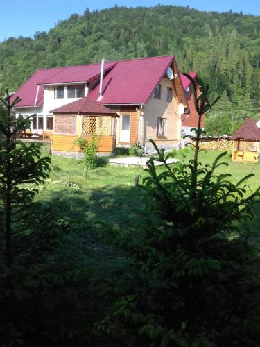 Фотография гостевого дома Отдых в Карпатах