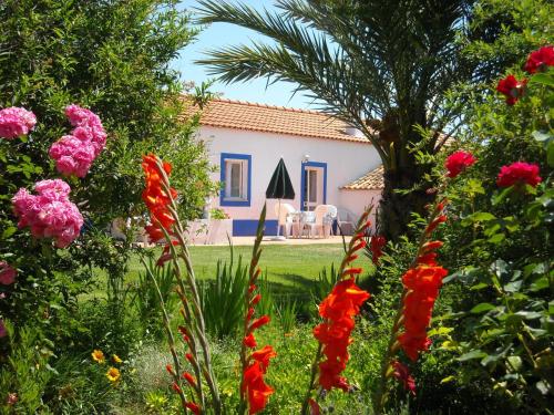 Фотография базы отдыха Monte Da Serralheira Agro Turismo