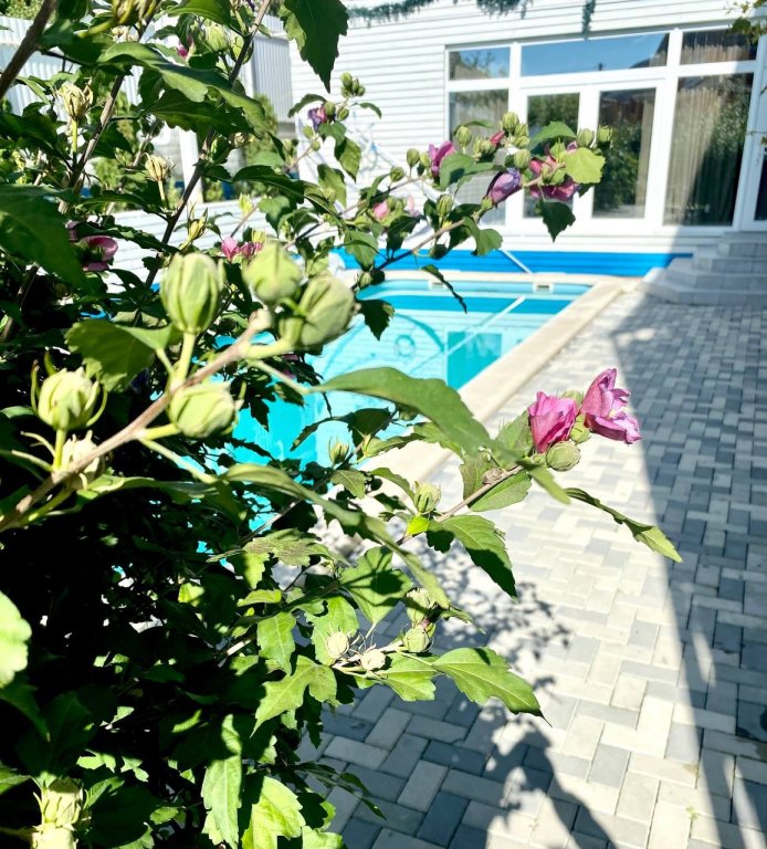 Фотография гостевого дома Континент Резорт