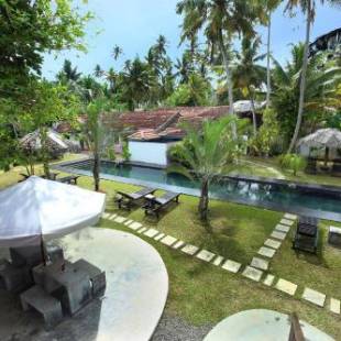 Фотографии гостиницы
Turtle Eco Beach