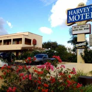 Фотографии мотеля
Harvey's Motel SDSU La Mesa San Diego