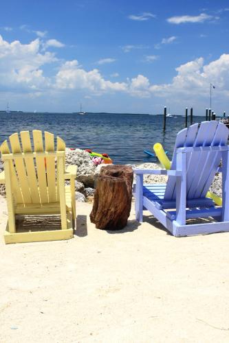 Фотография мини отеля The Pelican Key Largo Cottages