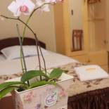 Фотография мини отеля Flor del Valle