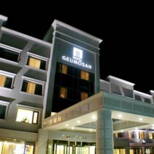 Фотографии гостиницы 
            Hotel Geumosan