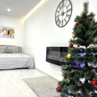 Фотография квартиры Апартаменты Псковская Жемчужина