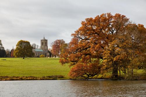 Фотография гостиницы The Falcon Hotel