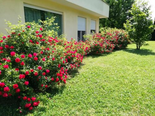 Фотография мини отеля B&B Terra del Sole