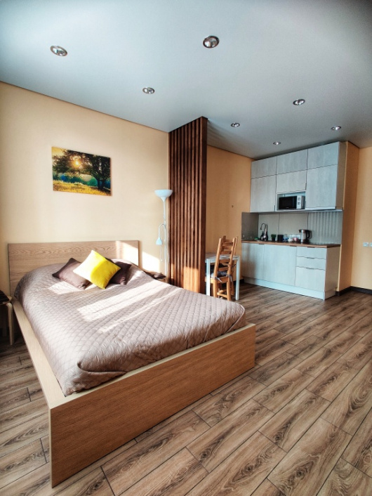 Фотографии квартиры 
            Квартира Комфортная Студия у Шуваловского Парка