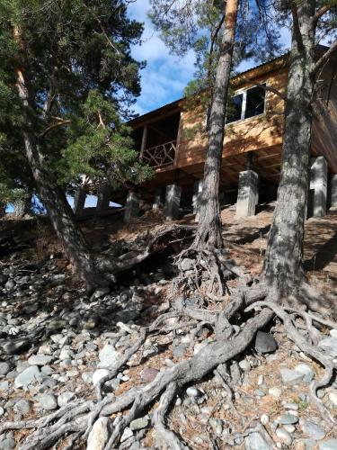 Фотография мини отеля Зеленые Холмы