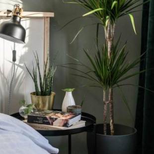 Фотографии гостиницы
Botanika Uppsala