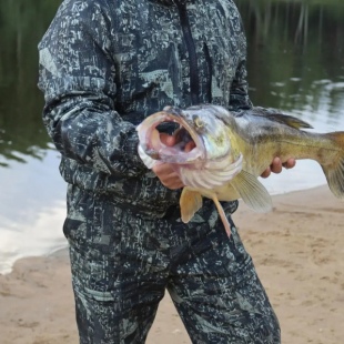 Фотография Коттеджа Заповедный Край