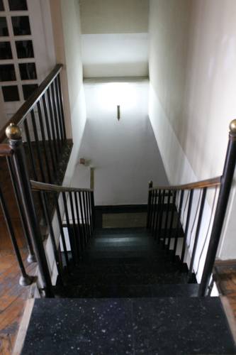 Фотография хостела 33 Птицы