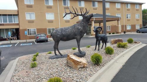 Фотография гостиницы Rodeway Inn Central Colorado Springs