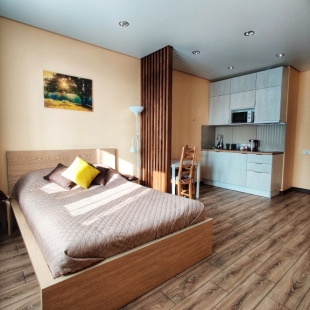 Фотография квартиры Квартира Комфортная Студия у Шуваловского Парка