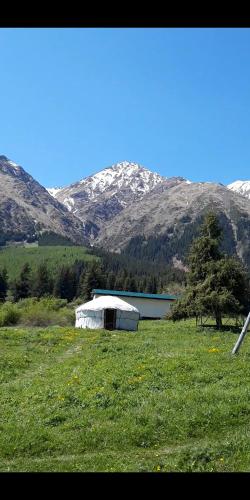 Фотография гостевого дома Turakaiyn