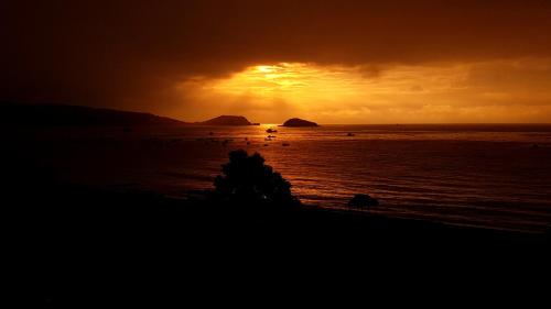 Фотография мини отеля Hospedaje Algarrobo Machalilla