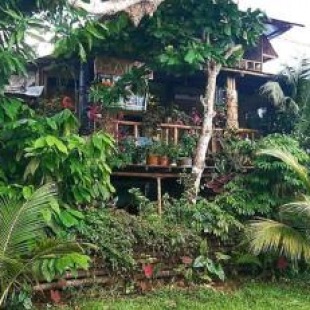 Фотография гостевого дома Refugio Maiku Puerto Nariño