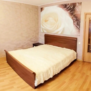 Фотография квартиры Апартаменты на Циолковского 9