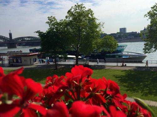 Фотография гостиницы Hayk Altstadthotel & Appartements