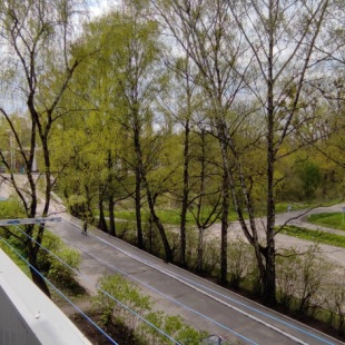 Фотография квартиры Апартаменты Борисово