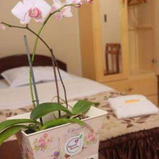 Фотографии мини отеля
Flor del Valle