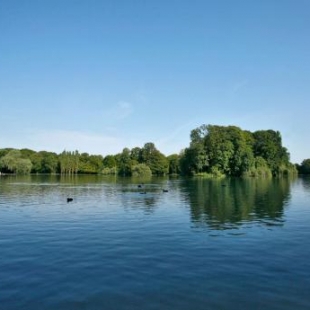 Фотография гостиницы Hotel Biederstein am Englischen Garten