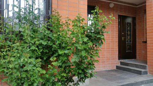 Фотография мини отеля Адариана