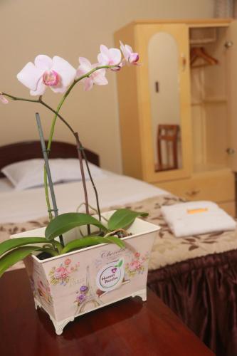 Фотография мини отеля Flor del Valle