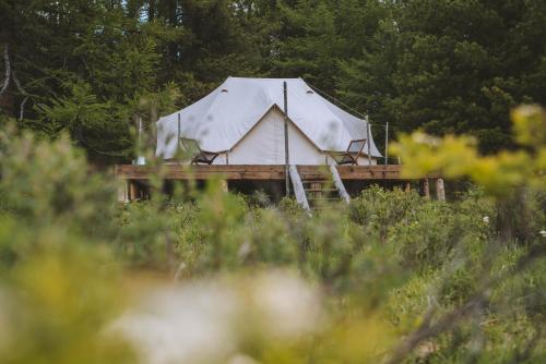Фотографии базы отдыха
Лес и Море Алтай