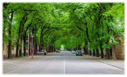 Фотография мини отеля Bed&Breakfast INTERMEZZO CAFFE