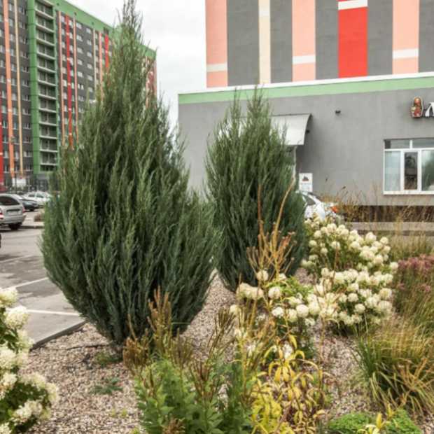 Фотографии квартиры 
            ZebraHome (ЗебраХоум) на Московском проспекте 44