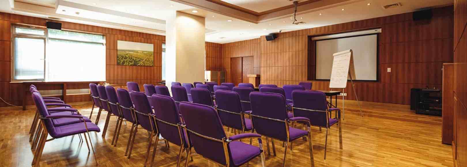 Фотография конференц-зала Сибирь