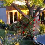 Фотография гостевого дома Haus Holzapfel