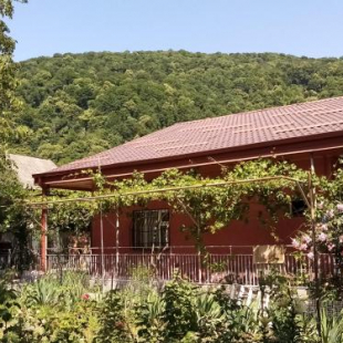 Фотография гостевого дома Дом в Лагодехи