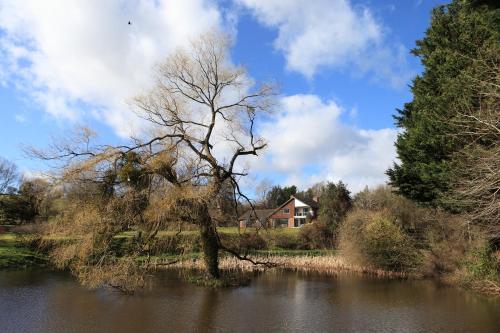 Фотография мини отеля Cwmbach Lodge luxury B&B