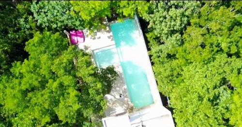 Фотография апарт отеля Akumal Jungle Habitat