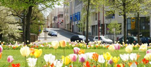 Фотография гостиницы Deltour Hôtel Rodez Bourran