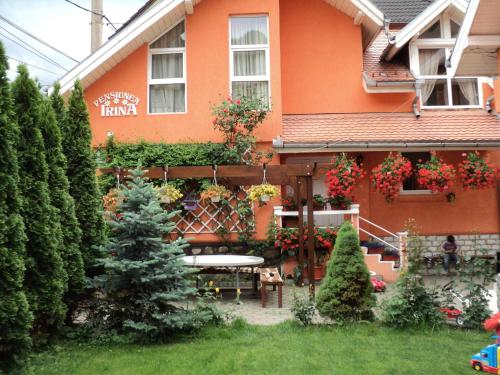 Фотография гостевого дома Pensiunea Irina