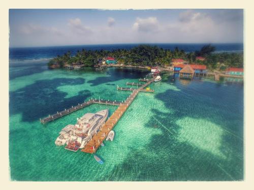 Фотография гостиницы Blue Marlin Beach Resort