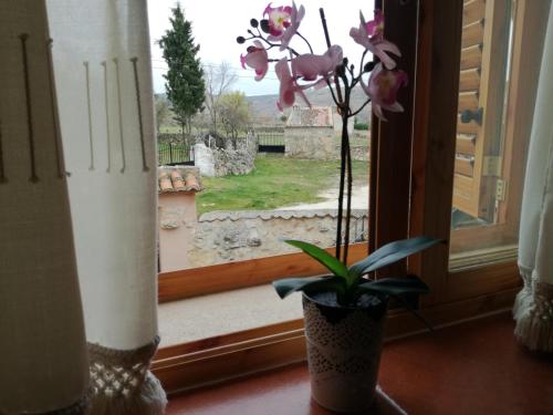 Фотография гостевого дома Villa Lucia