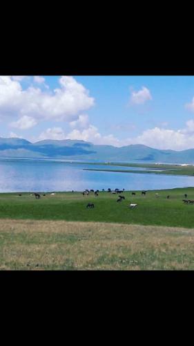 Фотография кемпинга Murat & Anara Camping