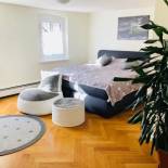 Фотография гостевого дома Pension Holzgarten