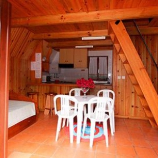 Фотография кемпинга parque de campismo de Luso