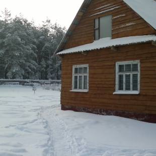 Фотография гостевого дома Агроусадьба Белый Лесок