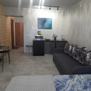 Фотография квартиры Квартира на Гагарина 80А/3