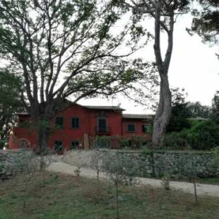 Фотографии мини отеля
Vigna dell'Agrifoglio - Bed and Breakfast