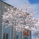 Фотография гостиницы Заря